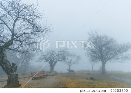 Scenery of the summit covered in fog in the rain of Mt. Wakakusa in Nara. Deciduous trees growing around the benches in the white haze Scenery of the summit covered in fog in the rain of Mt. Wakakusa in Nara. Deciduous trees growing around the benches in the white haze 99203890