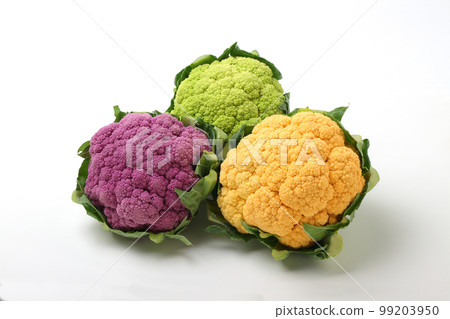 花椰菜多彩 花椰菜多彩 99203950