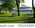 bench under the tree in the garden, Suanluang Rama 9, Bangkok Thailand 99203990