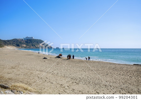 田原市戀地濱的風景 99204301