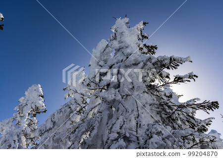 Shinshu Shiga Kogen Shinshu Shiga Kogen 99204870