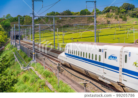 (Shizuoka Prefecture) Shinkansen down line running through the tea plantations in Makinohara 99205786