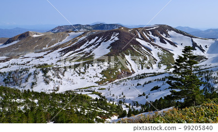 Spring in Shinshu Magnificent Mt. Shirane as the snow melts from Shibu Pass Spring in Shinshu Magnificent Mt. Shirane as the snow melts from Shibu Pass 99205840
