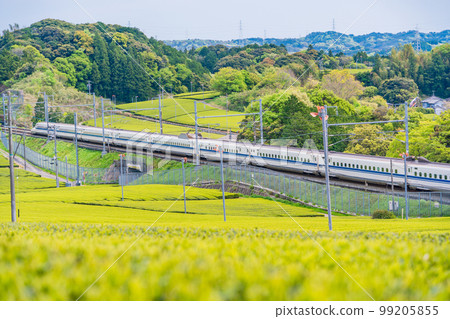 （靜岡縣）穿過牧之原茶園的新幹線 99205855