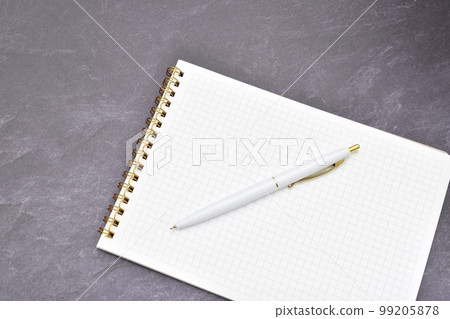 鋼筆和筆記 鋼筆和筆記 99205878