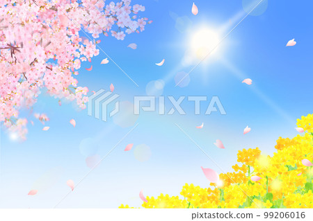 油菜花-天空中的彩虹和燦爛的陽光-春天的櫻花框架背景材料,花瓣美麗而艷麗 油菜花-天空中的彩虹和燦爛的陽光-春天的櫻花框架背景材料,花瓣美麗而艷麗 99206016