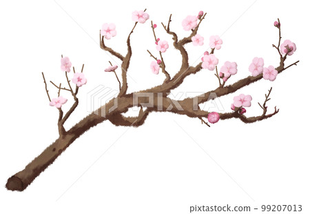 Cherry blossom branch illustration material Cherry blossom branch illustration material 99207013