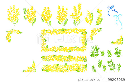 Watercolor. Mimosa illustration vector frame with watercolor touch. Mimosa vector background. 99207089