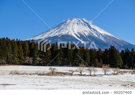 View of the snow-covered grasslands and Mt. Fuji from Asagiri Food Park (Shizuoka Prefecture) View of the snow-covered grasslands and Mt. Fuji from Asagiri Food Park (Shizuoka Prefecture) 99207400