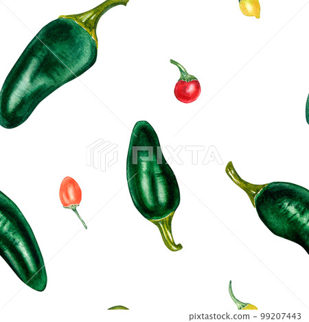Jalapeno and little peppers. spicy watercolor seamless pattern isolated on white. 99207443