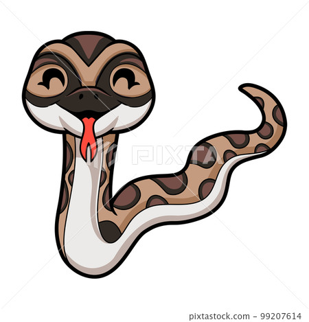Cute python molurus bivittatus cartoon Cute python molurus bivittatus cartoon 99207614