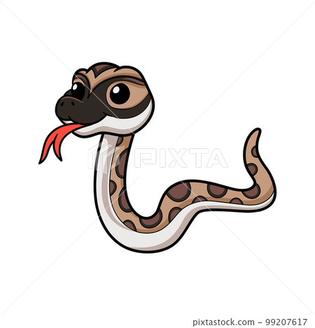 Cute python molurus bivittatus cartoon Cute python molurus bivittatus cartoon 99207617