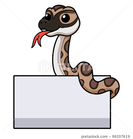 Cute python molurus bivittatus cartoon with blank sign 99207619
