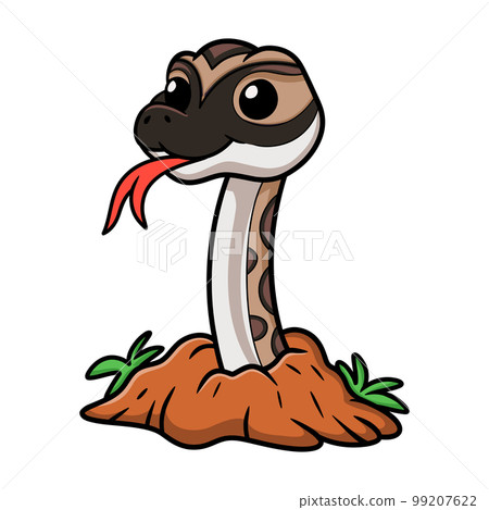 Cute python molurus bivittatus cartoon out from hole 99207622
