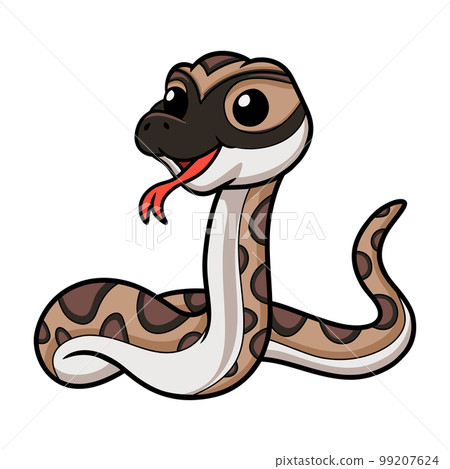 Cute python molurus bivittatus cartoon Cute python molurus bivittatus cartoon 99207624