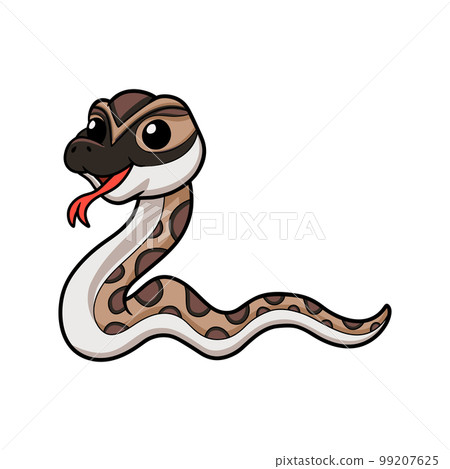 Cute python molurus bivittatus cartoon Cute python molurus bivittatus cartoon 99207625