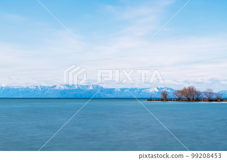 Levee with trees floating on the lake 99208453