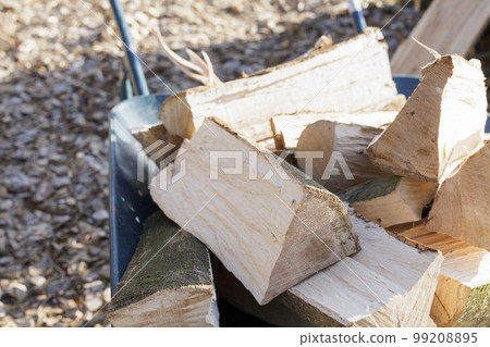 剛切好的木柴 99208895