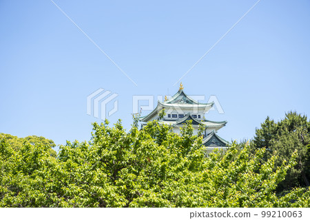 新鮮的綠色名古屋城堡 99210063