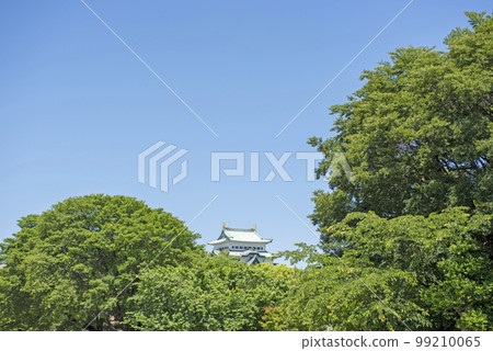 新鮮的綠色名古屋城堡 99210065