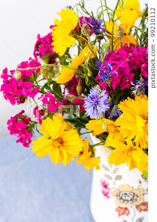 Beautiful summer flowers 99210112
