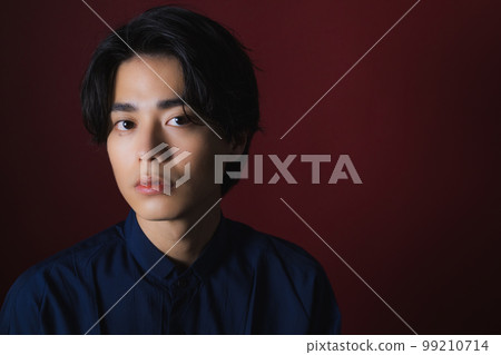 Men's dress shirt 99210714