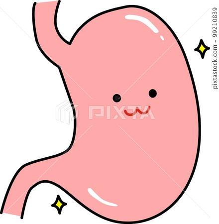 healthy stomach 99210839
