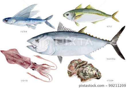 Tottori prefecture four seasons prefecture fish (summer) hand-painted watercolor painting Tottori prefecture four seasons prefecture fish (summer) hand-painted watercolor painting 99211209