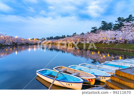 Hirosaki Park Nishibori Cherry Blossoms Dusk 99211670