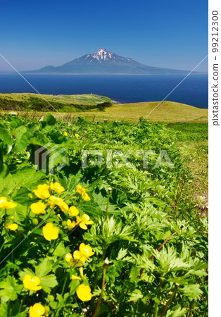 禮文島徒步旅行 禮文島徒步旅行 99212300