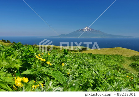 Rebun Island Hiking Rebun Island Hiking 99212301