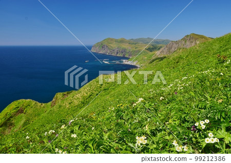 禮文島徒步旅行 99212386