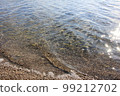 充滿陽光和清澈海水的海灘 99212702
