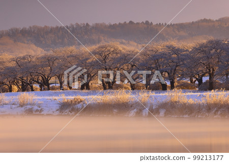 岩手縣北上市日出時的冬景 岩手縣北上市日出時的冬景 99213177