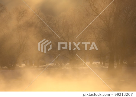 岩手縣北上市日出時的冬景 岩手縣北上市日出時的冬景 99213207