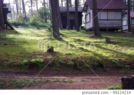 Cottage in the sunlight filtering through the trees 99214219