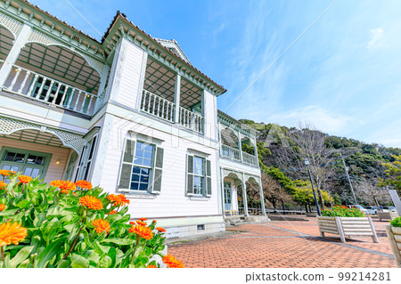 Misumi Nishiminato and Calendula officinalis in winter, Uki City, Kumamoto Prefecture 99214281