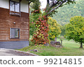 Hayashi no Cottage 99214815