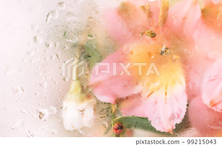 Background of blooming flowers in front of glass with water drops 99215043