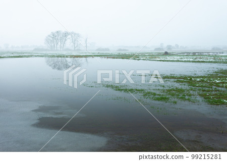 Flooded meadow, trees and fog on the horizon, eastern Poland Flooded meadow, trees and fog on the horizon, eastern Poland 99215281