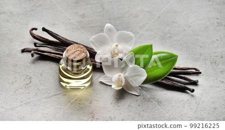 Vanilla pods with leaves and essential oil on gray background 99216225