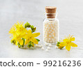 Homeopathy eco medicine hypericum granules with john's wort plant 99216236