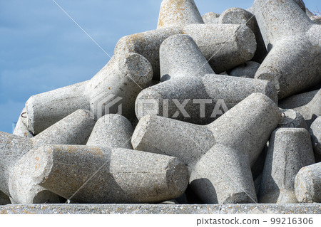 Tetrapod image Tetrapod image 99216306