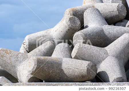 Tetrapod image 99216307