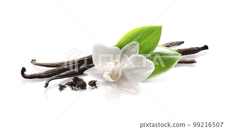 Vanilla pods with leaves isolated on white background 99216507