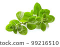 Marjoram twigs on white background 99216510