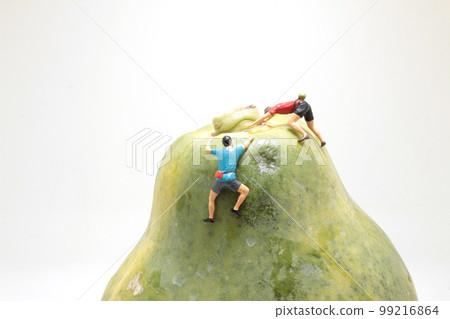 the fun tiny figure climb the pawpaw the fun tiny figure climb the pawpaw 99216864