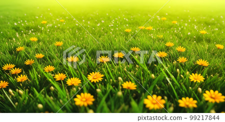 Spring landscape with grass and flowers Spring landscape with grass and flowers 99217844