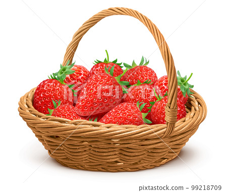 strawberry strawberry illustration real strawberry picking 99218709
