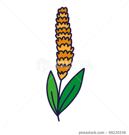 wheat plant icon 99220336